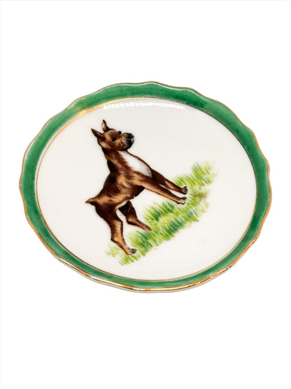 Boxer Trinket Dish