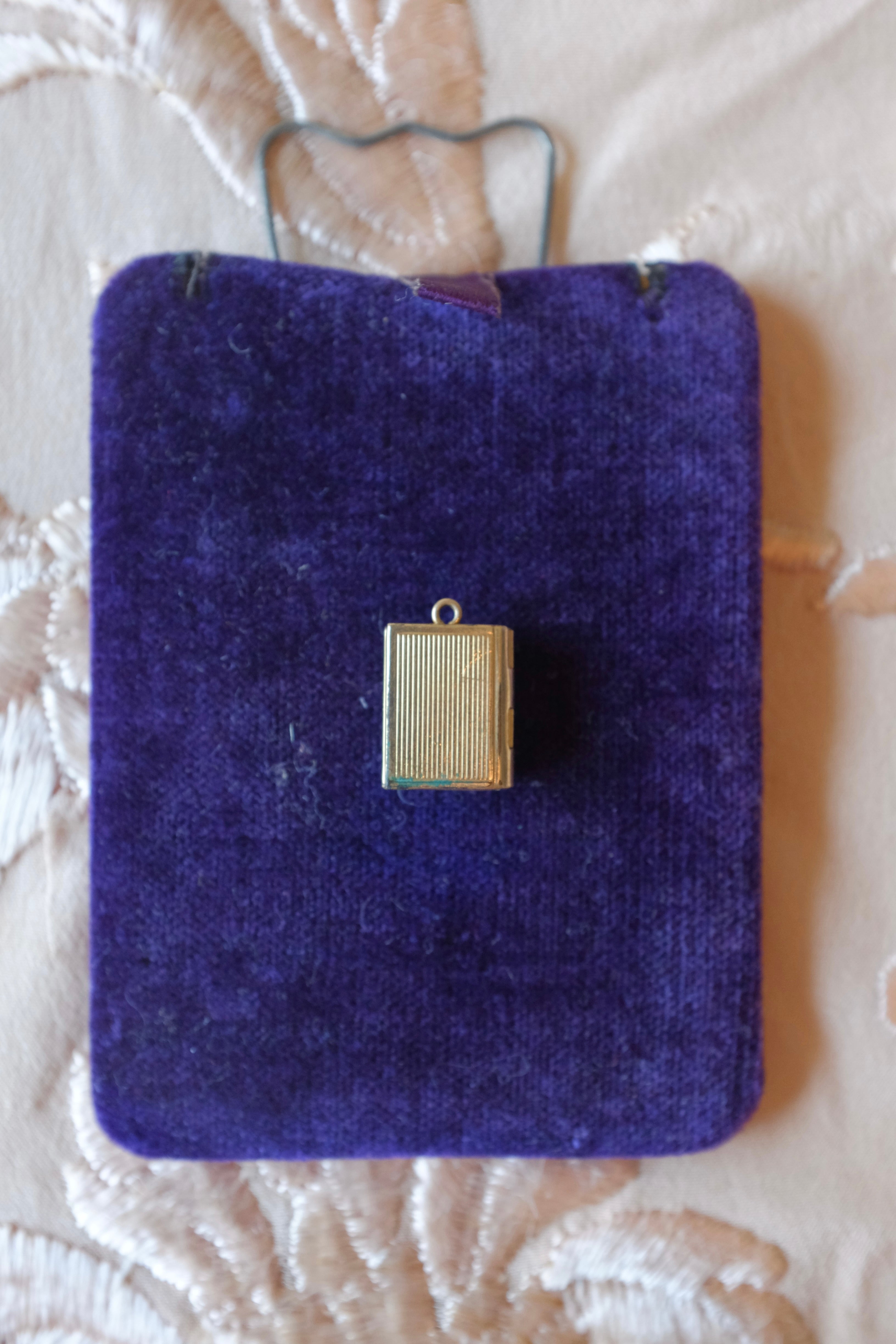 Vintage Mother of Pearl Crest Book Locket