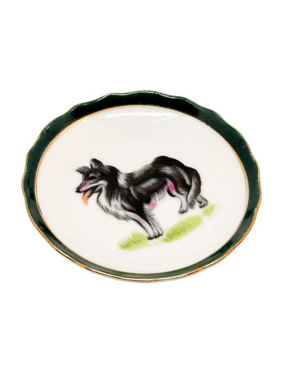 Border Collie Trinket Dish